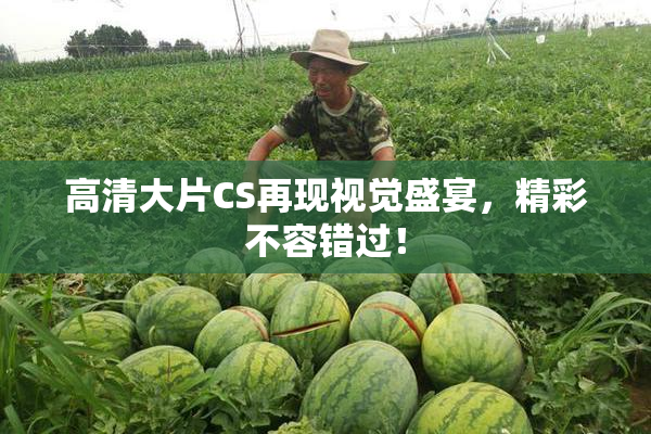 高清大片CS再现视觉盛宴，精彩不容错过！