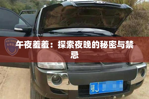 午夜羞羞：探索夜晚的秘密与禁忌