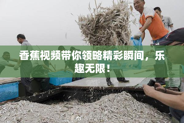 香蕉视频带你领略精彩瞬间，乐趣无限！