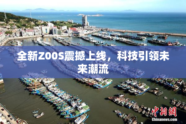 全新Z00S震撼上线，科技引领未来潮流