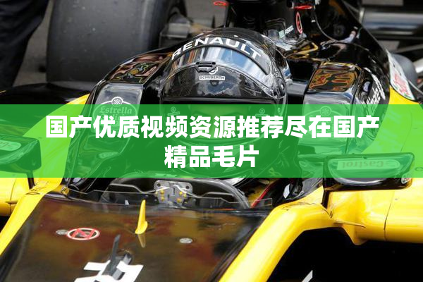 国产优质视频资源推荐尽在国产精品毛片