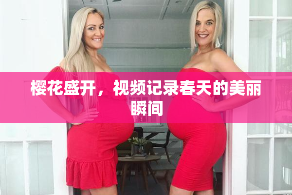 樱花盛开，视频记录春天的美丽瞬间
