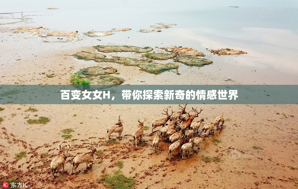 百变女女H，带你探索新奇的情感世界