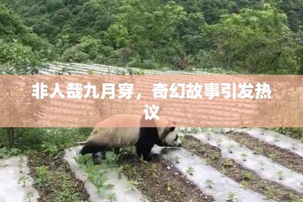 非人哉九月穿，奇幻故事引发热议