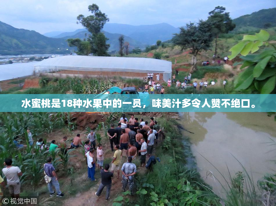 水蜜桃是18种水果中的一员，味美汁多令人赞不绝口。