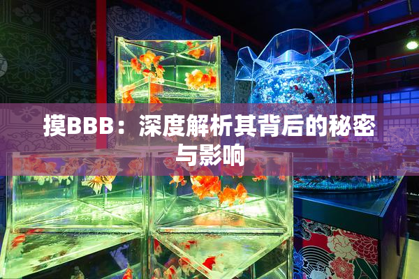 摸BBB：深度解析其背后的秘密与影响