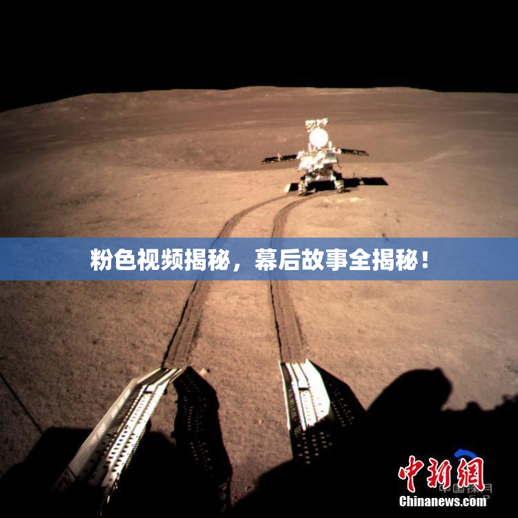 粉色视频揭秘，幕后故事全揭秘！