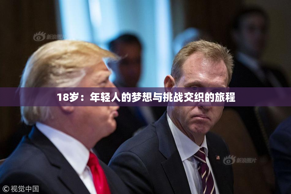 18岁：年轻人的梦想与挑战交织的旅程