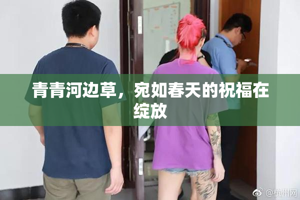 青青河边草，宛如春天的祝福在绽放