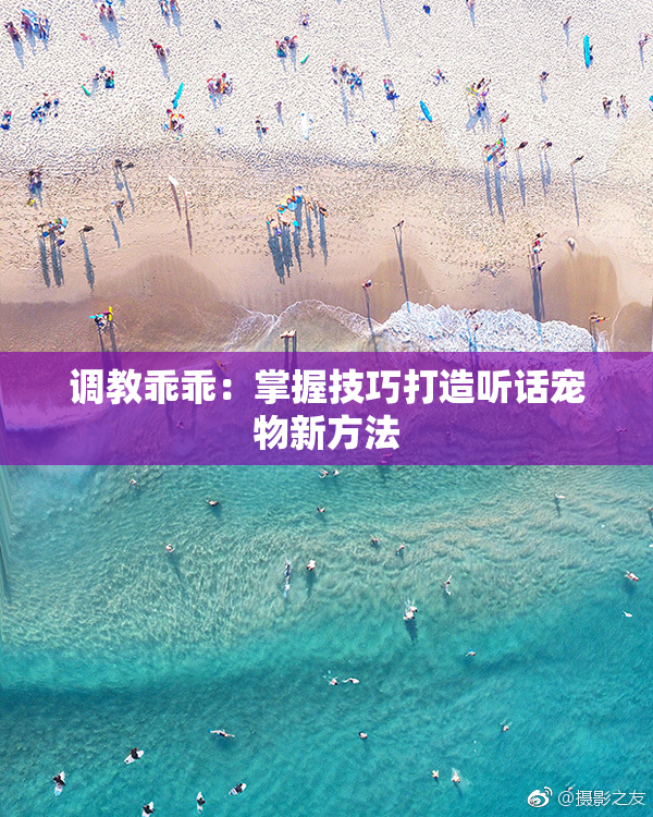 调教乖乖：掌握技巧打造听话宠物新方法