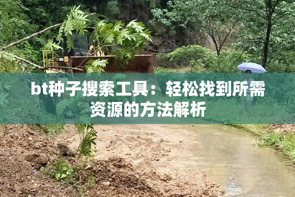 bt种子搜索工具：轻松找到所需资源的方法解析
