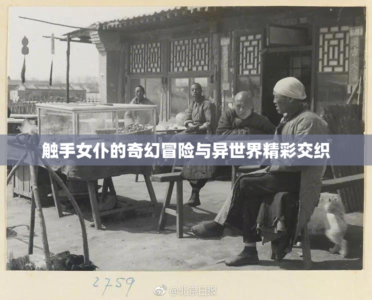 触手女仆的奇幻冒险与异世界精彩交织