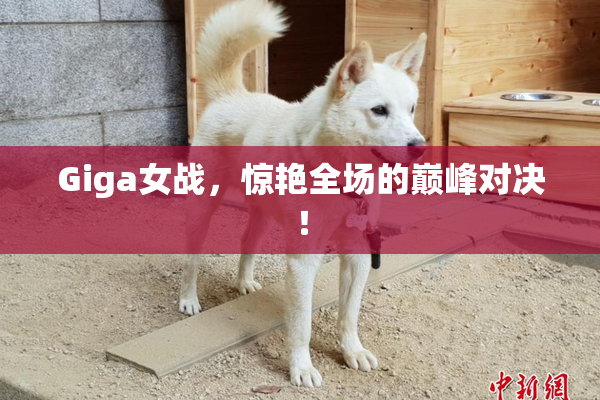 Giga女战，惊艳全场的巅峰对决！