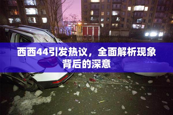 西西44引发热议，全面解析现象背后的深意