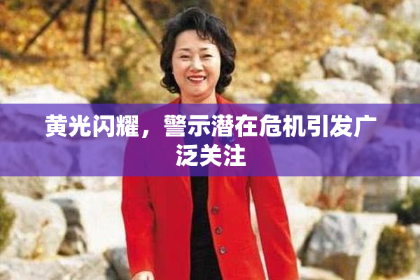 黄光闪耀，警示潜在危机引发广泛关注