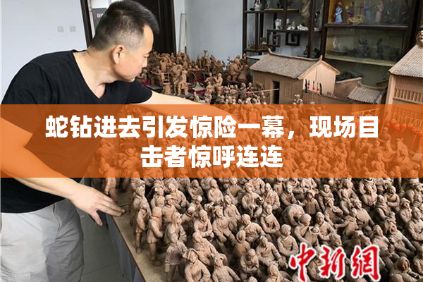蛇钻进去引发惊险一幕，现场目击者惊呼连连