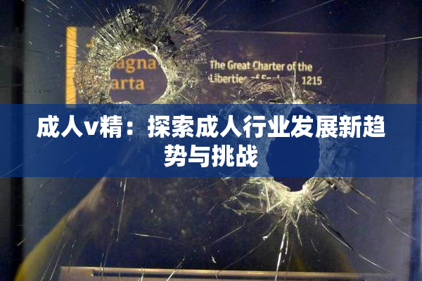 成人v精：探索成人行业发展新趋势与挑战