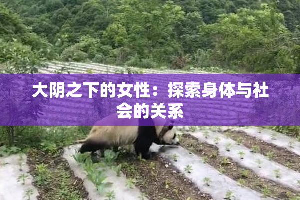 大阴之下的女性：探索身体与社会的关系