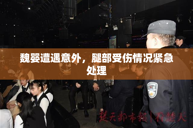 魏婴遭遇意外，腿部受伤情况紧急处理