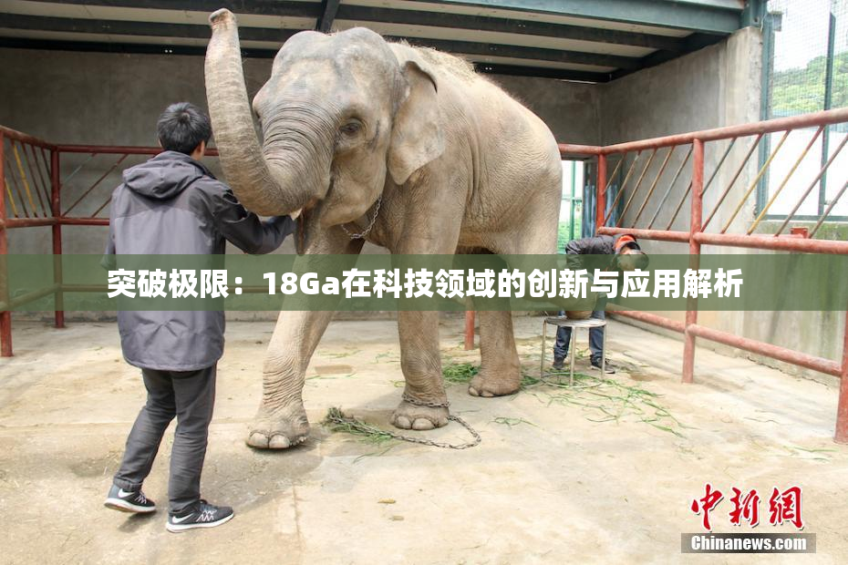突破极限：18Ga在科技领域的创新与应用解析