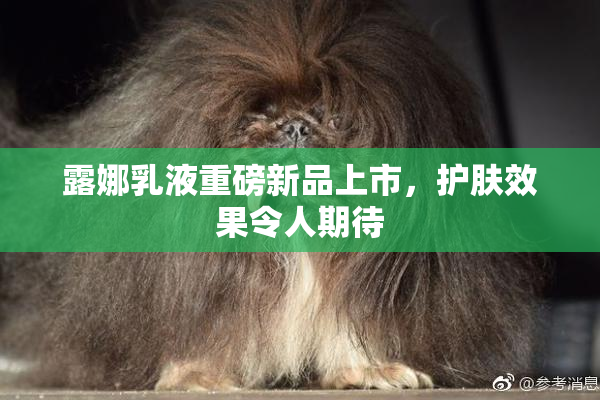 露娜乳液重磅新品上市，护肤效果令人期待