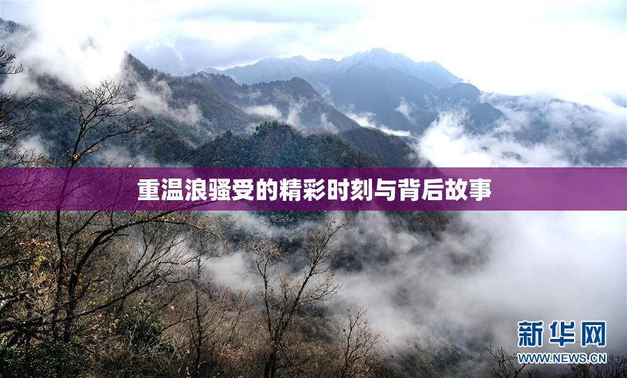 重温浪骚受的精彩时刻与背后故事