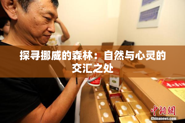 探寻挪威的森林：自然与心灵的交汇之处