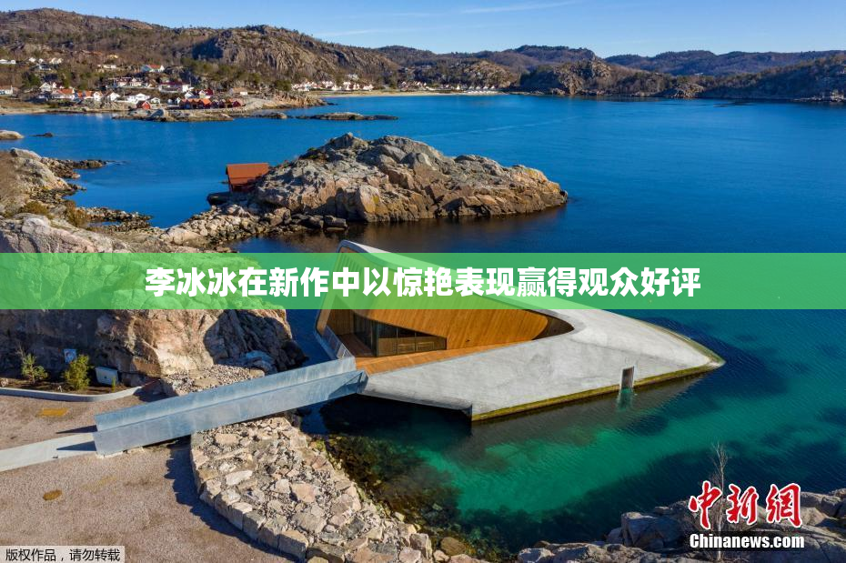李冰冰在新作中以惊艳表现赢得观众好评