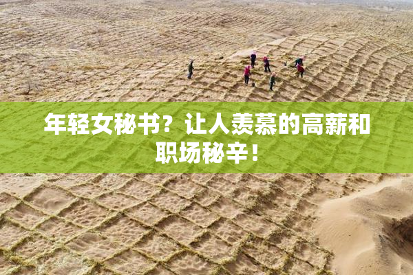 年轻女秘书？让人羡慕的高薪和职场秘辛！