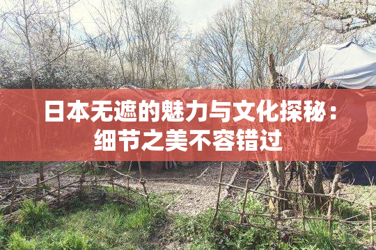 日本无遮的魅力与文化探秘：细节之美不容错过