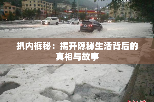 扒内裤秘：揭开隐秘生活背后的真相与故事