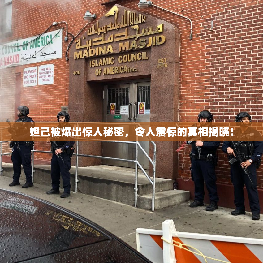 妲己被爆出惊人秘密，令人震惊的真相揭晓！