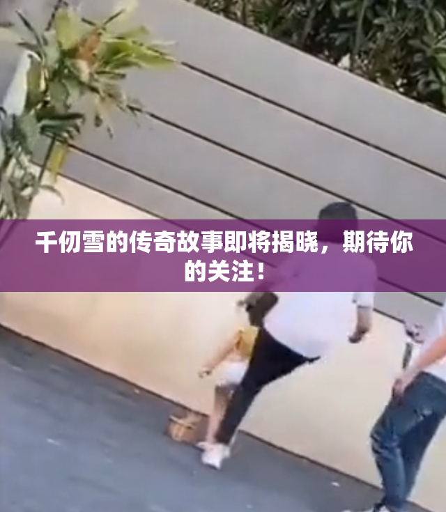 千仞雪的传奇故事即将揭晓，期待你的关注！