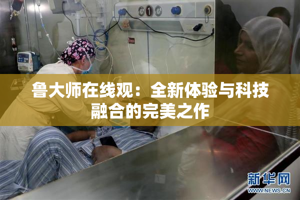 鲁大师在线观：全新体验与科技融合的完美之作