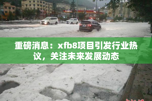 重磅消息：xfb8项目引发行业热议，关注未来发展动态