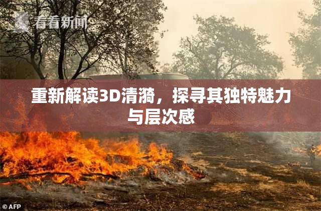 重新解读3D清漪，探寻其独特魅力与层次感