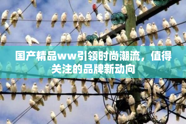 国产精品ww引领时尚潮流，值得关注的品牌新动向