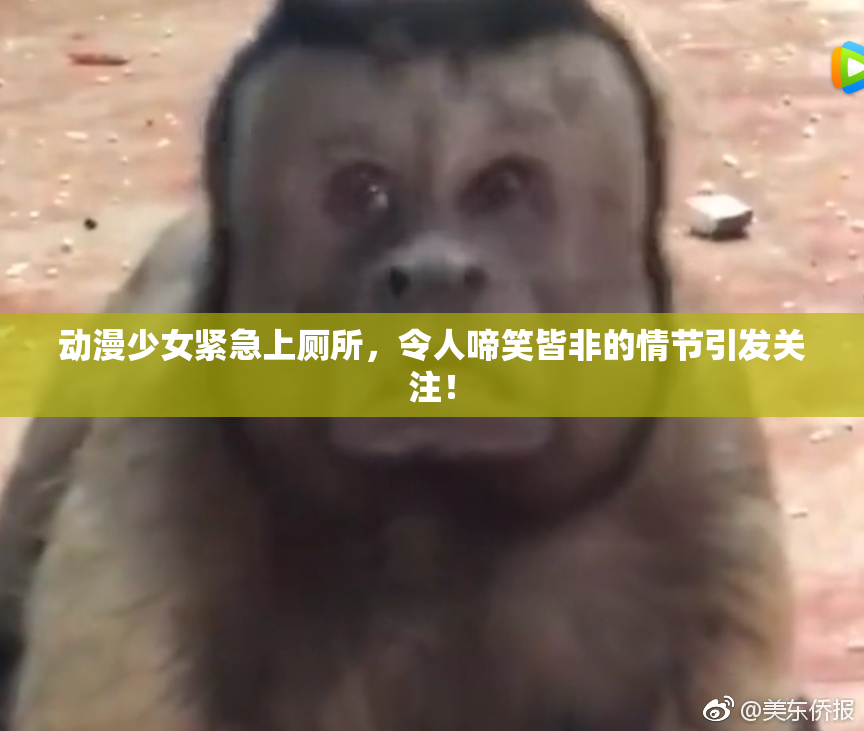 动漫少女紧急上厕所，令人啼笑皆非的情节引发关注！