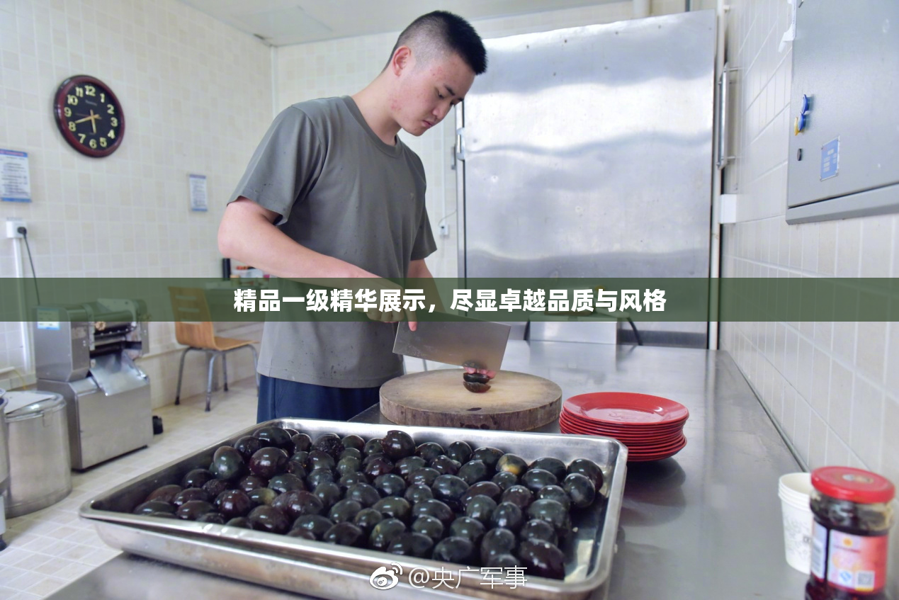 精品一级精华展示，尽显卓越品质与风格