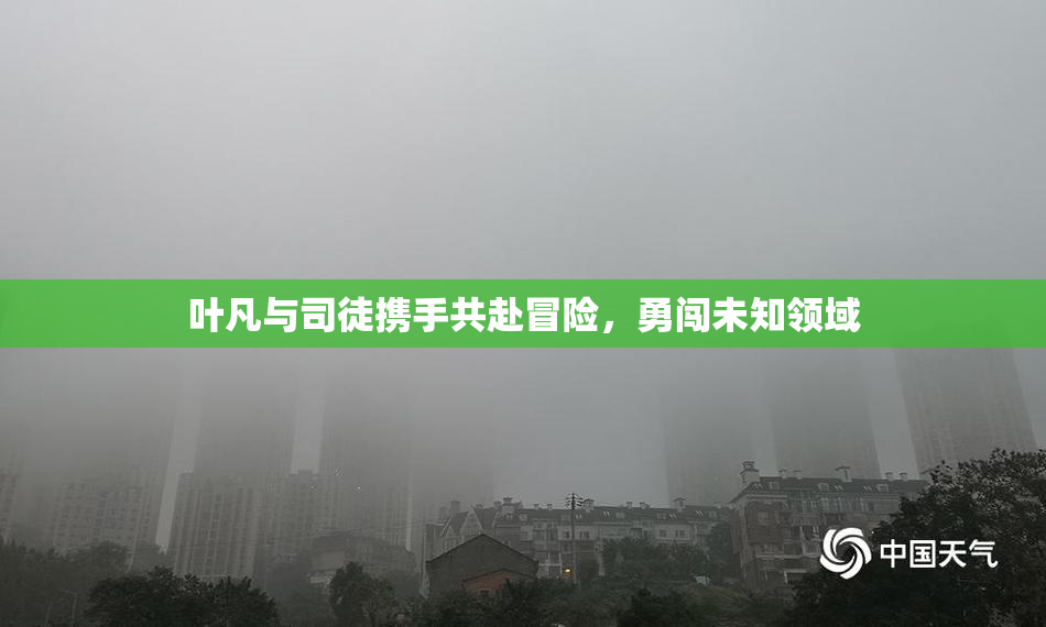 叶凡与司徒携手共赴冒险，勇闯未知领域
