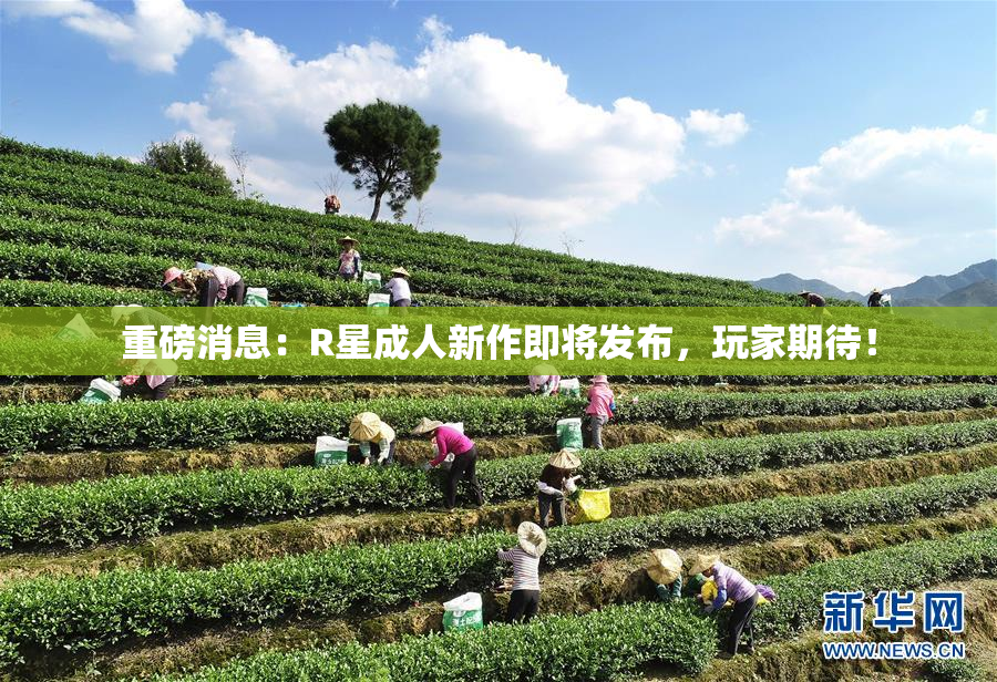 重磅消息：R星成人新作即将发布，玩家期待！
