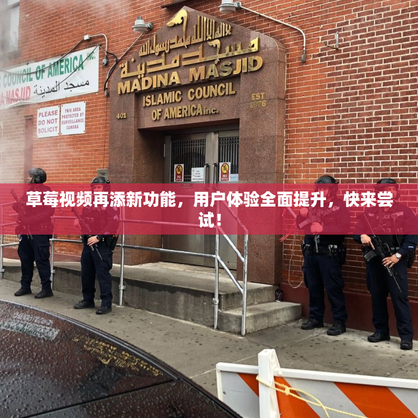 草莓视频再添新功能，用户体验全面提升，快来尝试！