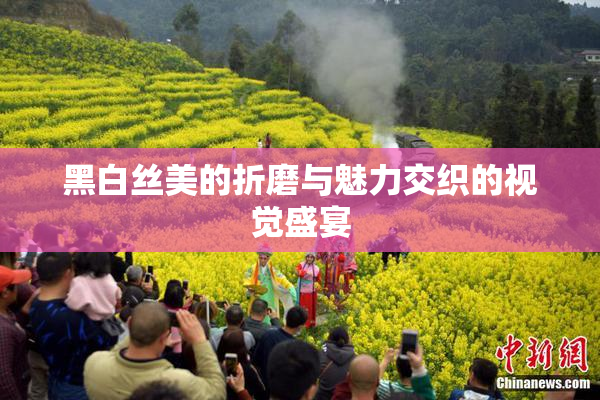 黑白丝美的折磨与魅力交织的视觉盛宴