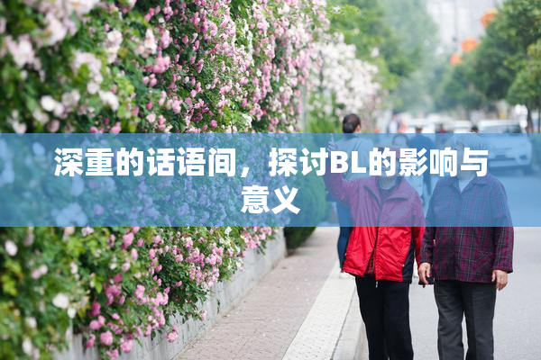 深重的话语间，探讨BL的影响与意义