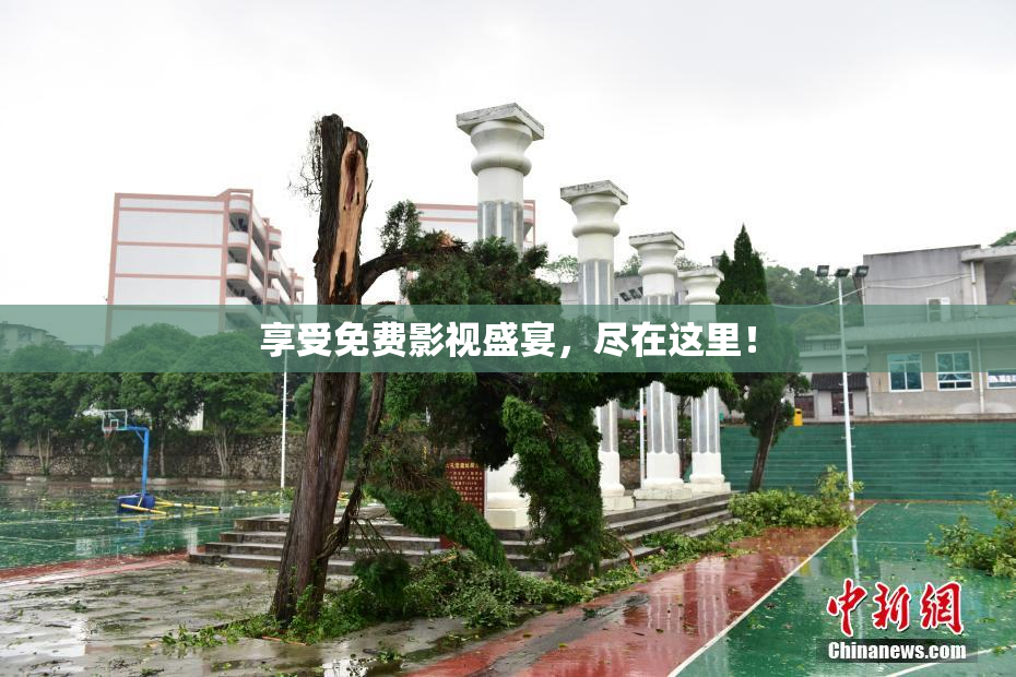 享受免费影视盛宴，尽在这里！