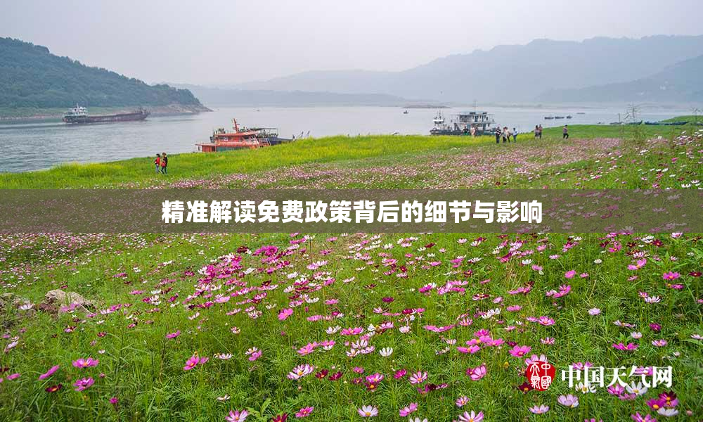 精准解读免费政策背后的细节与影响