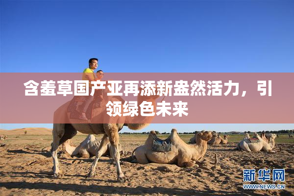 含羞草国产亚再添新盎然活力，引领绿色未来