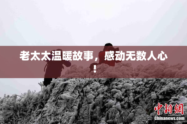 老太太温暖故事，感动无数人心！