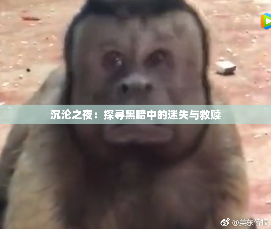 沉沦之夜：探寻黑暗中的迷失与救赎