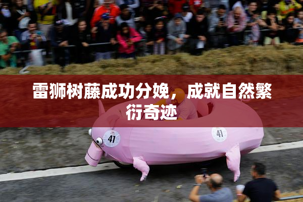雷狮树藤成功分娩，成就自然繁衍奇迹